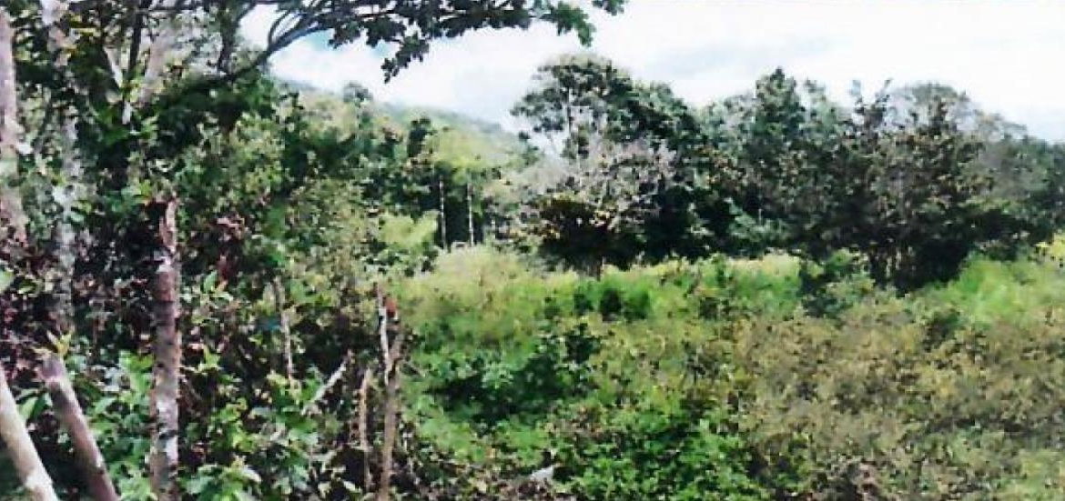 Second image of 1c Goshen in Goshen, St. Ann, Jamaica - property is For Sale