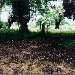 First image of 1c Goshen in Goshen, St. Ann, Jamaica - property is For Sale