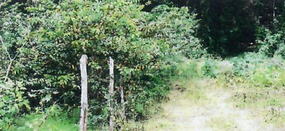 Third image of 1c Goshen in Goshen, St. Ann, Jamaica - property is For Sale