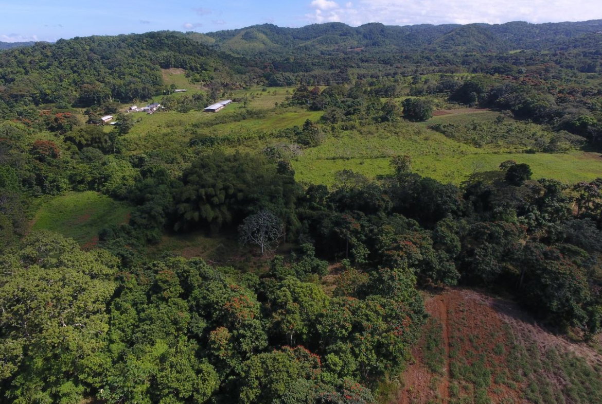 Fifth image of 1c Goshen in Goshen, St. Ann, Jamaica - property is For Sale