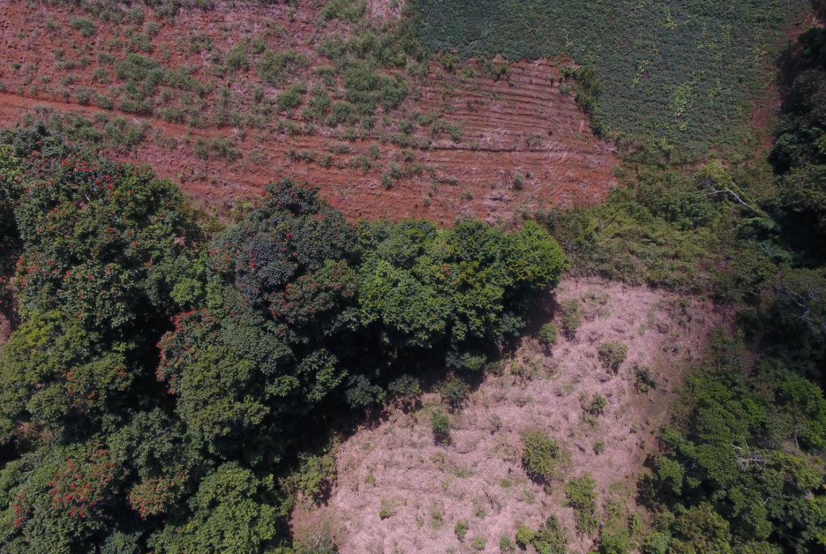 Sixth image of 1c Goshen in Goshen, St. Ann, Jamaica - property is For Sale