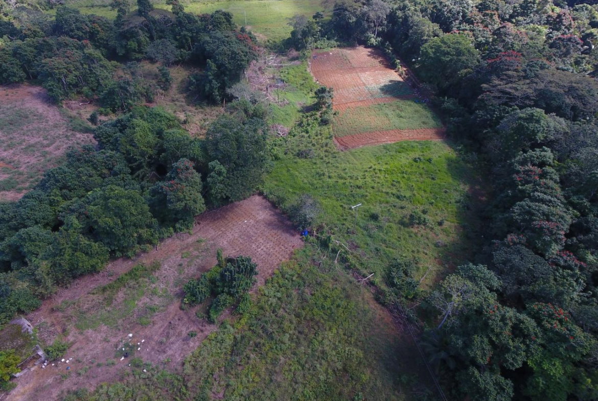 Eighth image of 1c Goshen in Goshen, St. Ann, Jamaica - property is For Sale