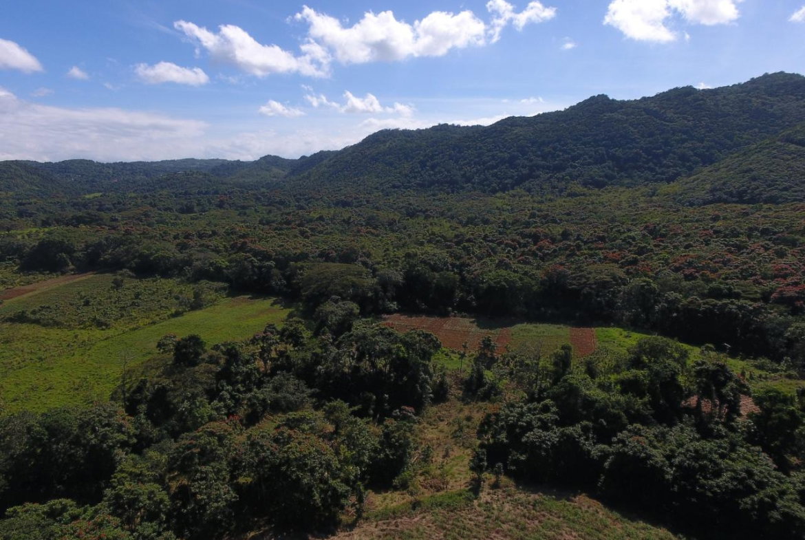 Ninth image of 1c Goshen in Goshen, St. Ann, Jamaica - property is For Sale