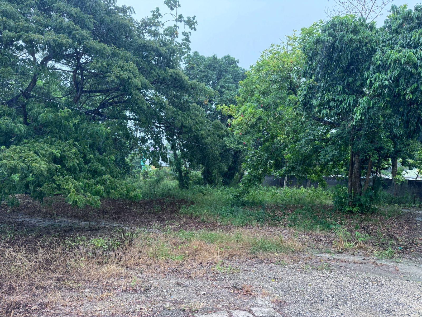 Prime-Oceanfront-Commercial-Land-for-Rent-in-St.-Mary-Jamaica Second image of Part of Liberty Castle Called Morley in Liberty Castle, St. Mary, Jamaica - property is For Rent