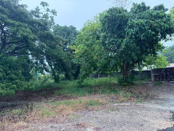 Third image of Part of Liberty Castle Called Morley in Liberty Castle, St. Mary, Jamaica - property is For Rent