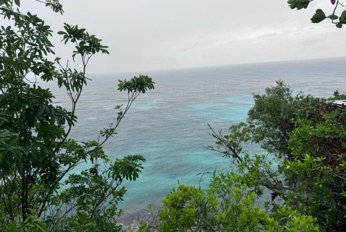 Seventh image of Part of Liberty Castle Called Morley in Liberty Castle, St. Mary, Jamaica - property is For Rent
