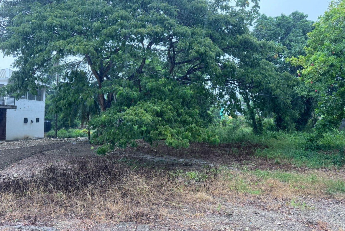 Ninth image of Part of Liberty Castle Called Morley in Liberty Castle, St. Mary, Jamaica - property is For Rent