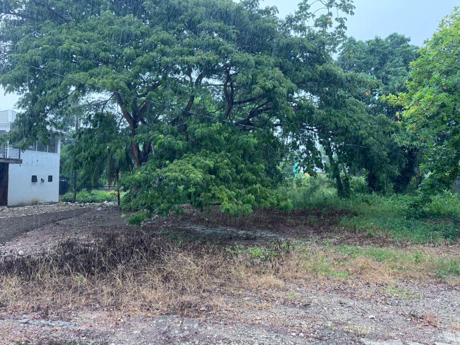 Prime-Oceanfront-Commercial-Land-for-Rent-in-St.-Mary-Jamaica Ninth image of Part of Liberty Castle Called Morley in Liberty Castle, St. Mary, Jamaica - property is For Rent