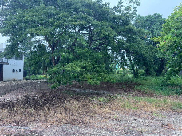 Ninth image of Part of Liberty Castle Called Morley in Liberty Castle, St. Mary, Jamaica - property is For Rent