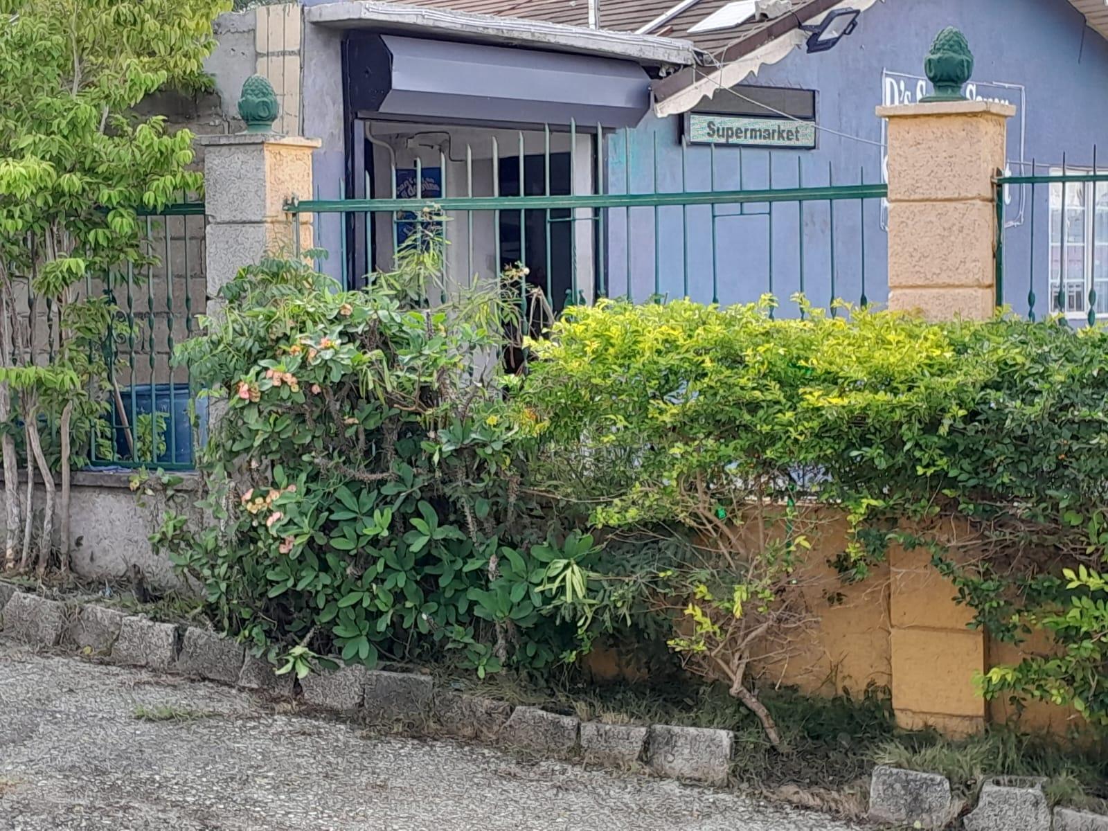 Versatile-Commercial-Property-for-Sale-in-Rhyne-Park-Jamaica Third image of Lot # 22 Rhyne Park Village in Rose Hall, St. James, Jamaica - property is For Sale