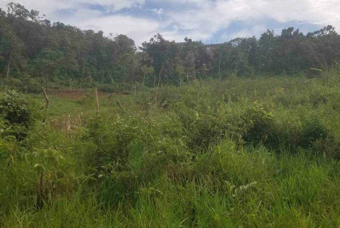 First image of 250 Newark Grove in Spur Tree, Manchester, Jamaica - property is For Sale