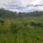 First image of 250 Newark Grove in Spur Tree, Manchester, Jamaica - property is For Sale