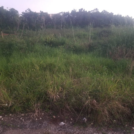 Third image of 250 Newark Grove in Spur Tree, Manchester, Jamaica - property is For Sale