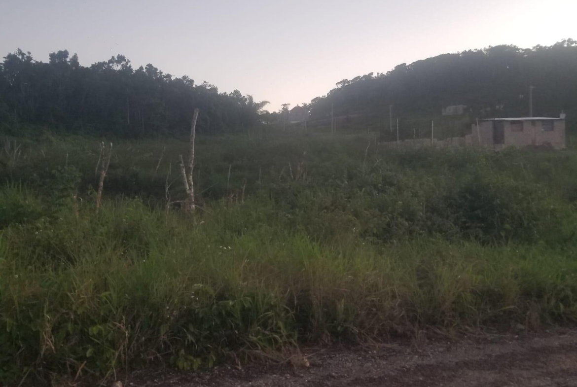 Fourth image of 250 Newark Grove in Spur Tree, Manchester, Jamaica - property is For Sale