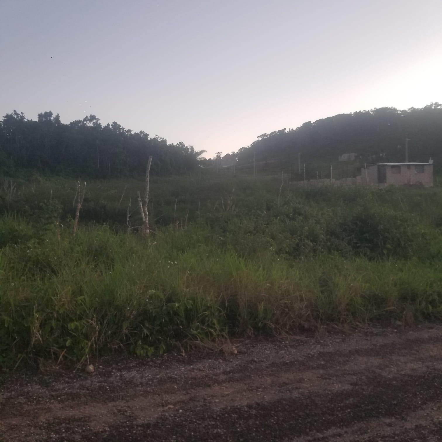 0.37-Acre-Residential-Lot-for-Sale-in-Newark-Grove-Mandeville Fourth image of 250 Newark Grove in Spur Tree, Manchester, Jamaica - property is For Sale