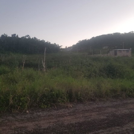 Fourth image of 250 Newark Grove in Spur Tree, Manchester, Jamaica - property is For Sale