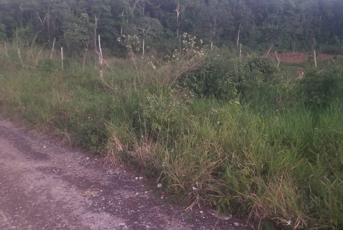Fifth image of 250 Newark Grove in Spur Tree, Manchester, Jamaica - property is For Sale