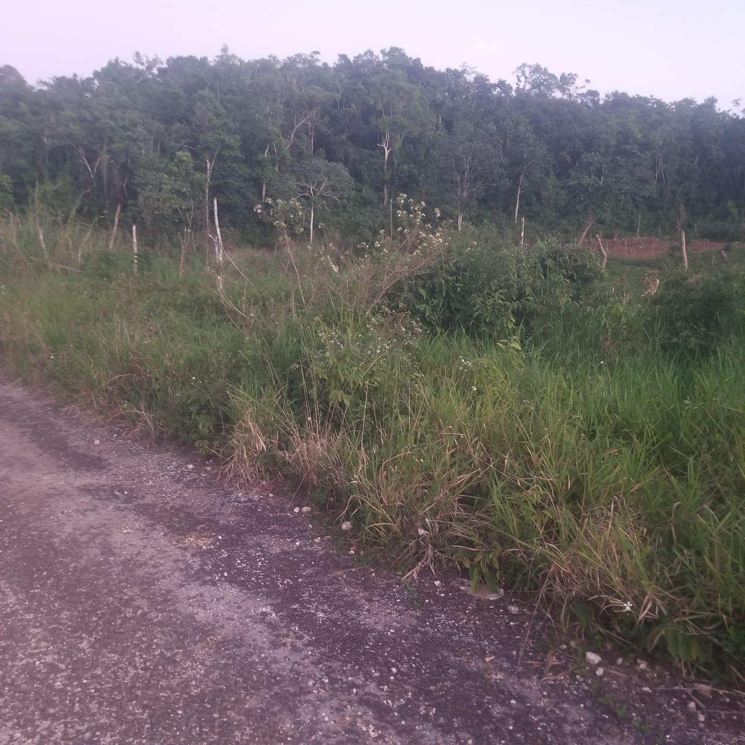 0.37-Acre-Residential-Lot-for-Sale-in-Newark-Grove-Mandeville Fifth image of 250 Newark Grove in Spur Tree, Manchester, Jamaica - property is For Sale