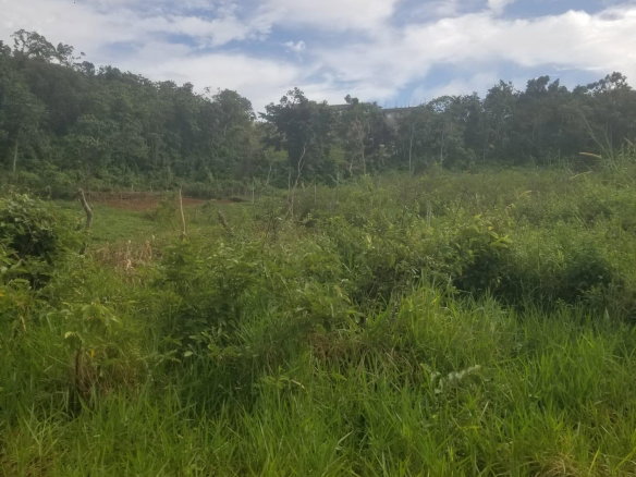 First image of 250 Newark Grove in Spur Tree, Manchester, Jamaica - property is For Sale