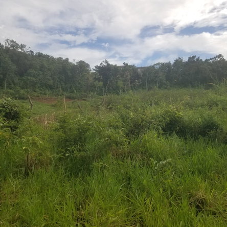 First image of 250 Newark Grove in Spur Tree, Manchester, Jamaica - property is For Sale