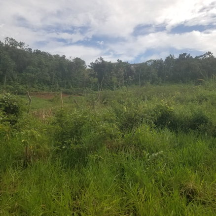 First image of 250 Newark Grove in Spur Tree, Manchester, Jamaica - property is For Sale