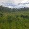 First image of 250 Newark Grove in Spur Tree, Manchester, Jamaica - property is For Sale