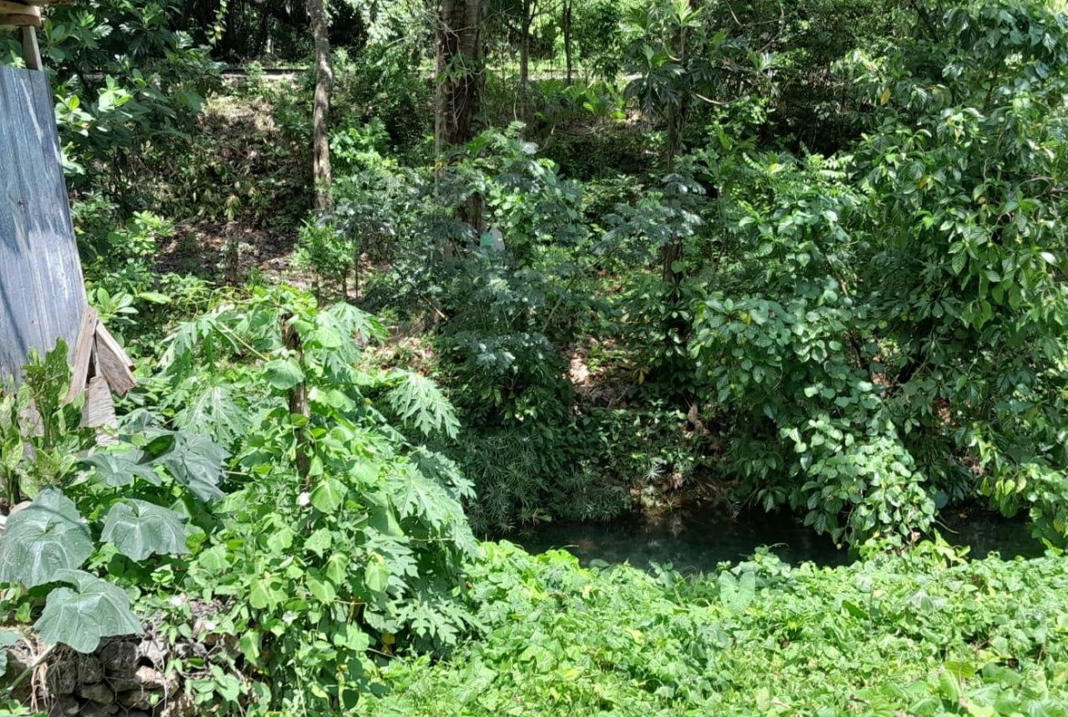 Second image of Spring Grove, Scotts Pass in Porus, Manchester, Jamaica - property is For Sale