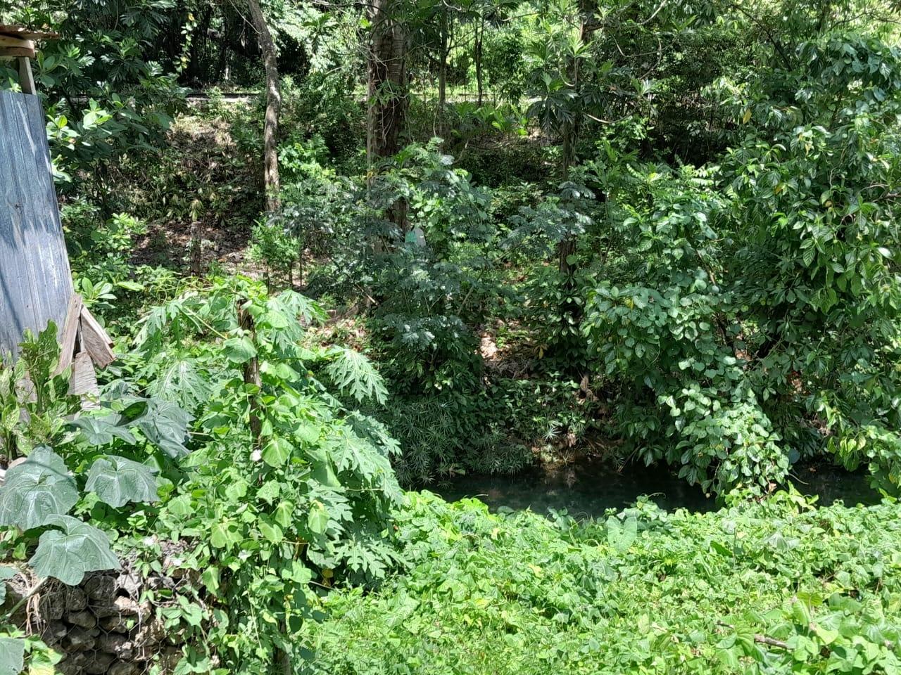 Second image of Spring Grove, Scotts Pass in Porus, Manchester, Jamaica - property is For Sale