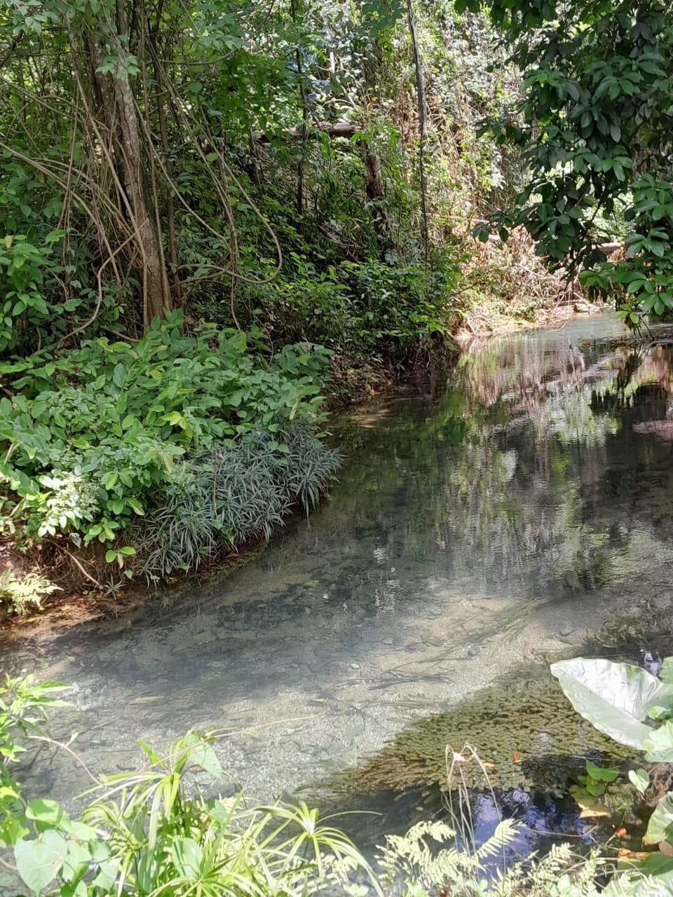 Eleventh image of Spring Grove, Scotts Pass in Porus, Manchester, Jamaica - property is For Sale