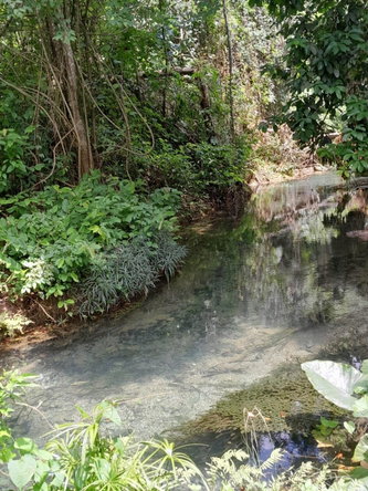 Eleventh image of Spring Grove, Scotts Pass in Porus, Manchester, Jamaica - property is For Sale