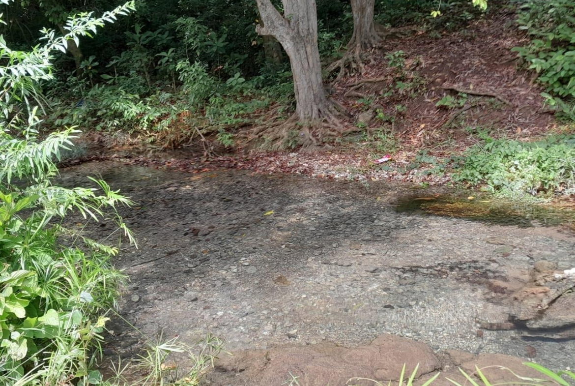 Thirteenth image of Spring Grove, Scotts Pass in Porus, Manchester, Jamaica - property is For Sale