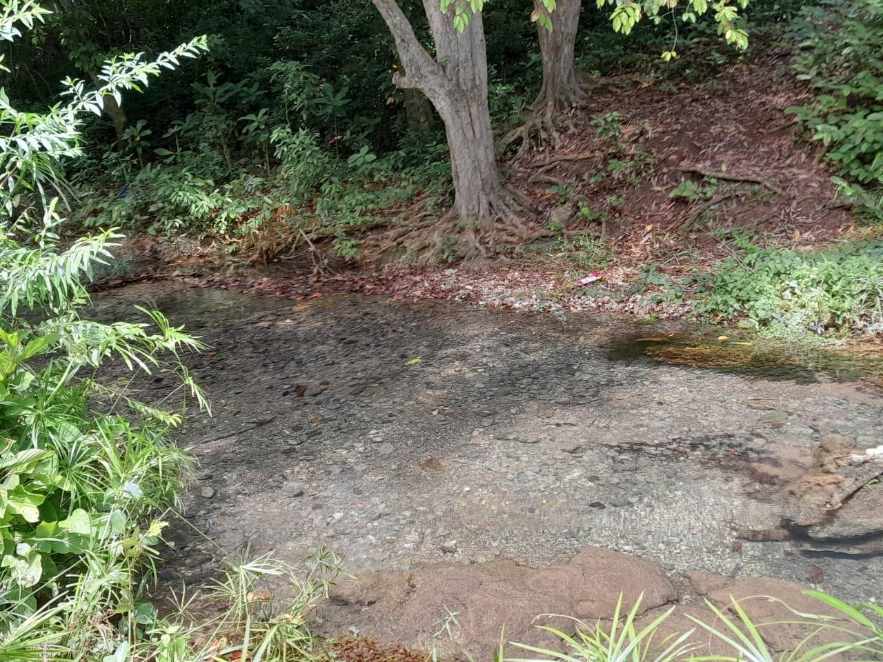 Thirteenth image of Spring Grove, Scotts Pass in Porus, Manchester, Jamaica - property is For Sale