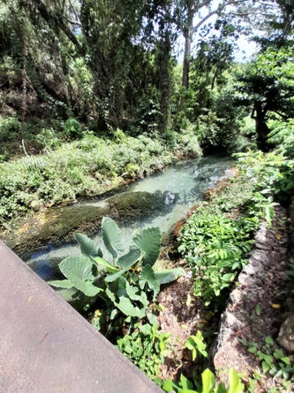 Fourteenth image of Spring Grove, Scotts Pass in Porus, Manchester, Jamaica - property is For Sale