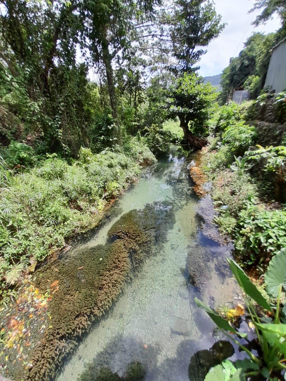 Sixteenth image of Spring Grove, Scotts Pass in Porus, Manchester, Jamaica - property is For Sale