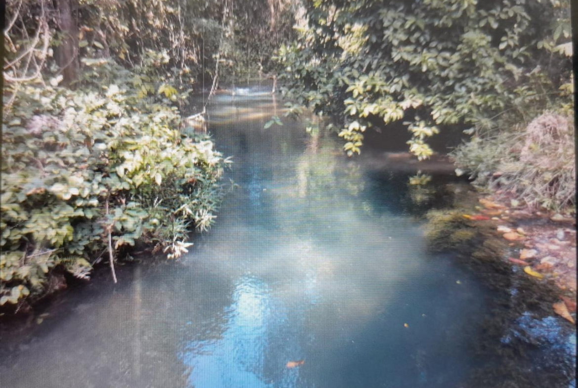 Eighteenth image of Spring Grove, Scotts Pass in Porus, Manchester, Jamaica - property is For Sale