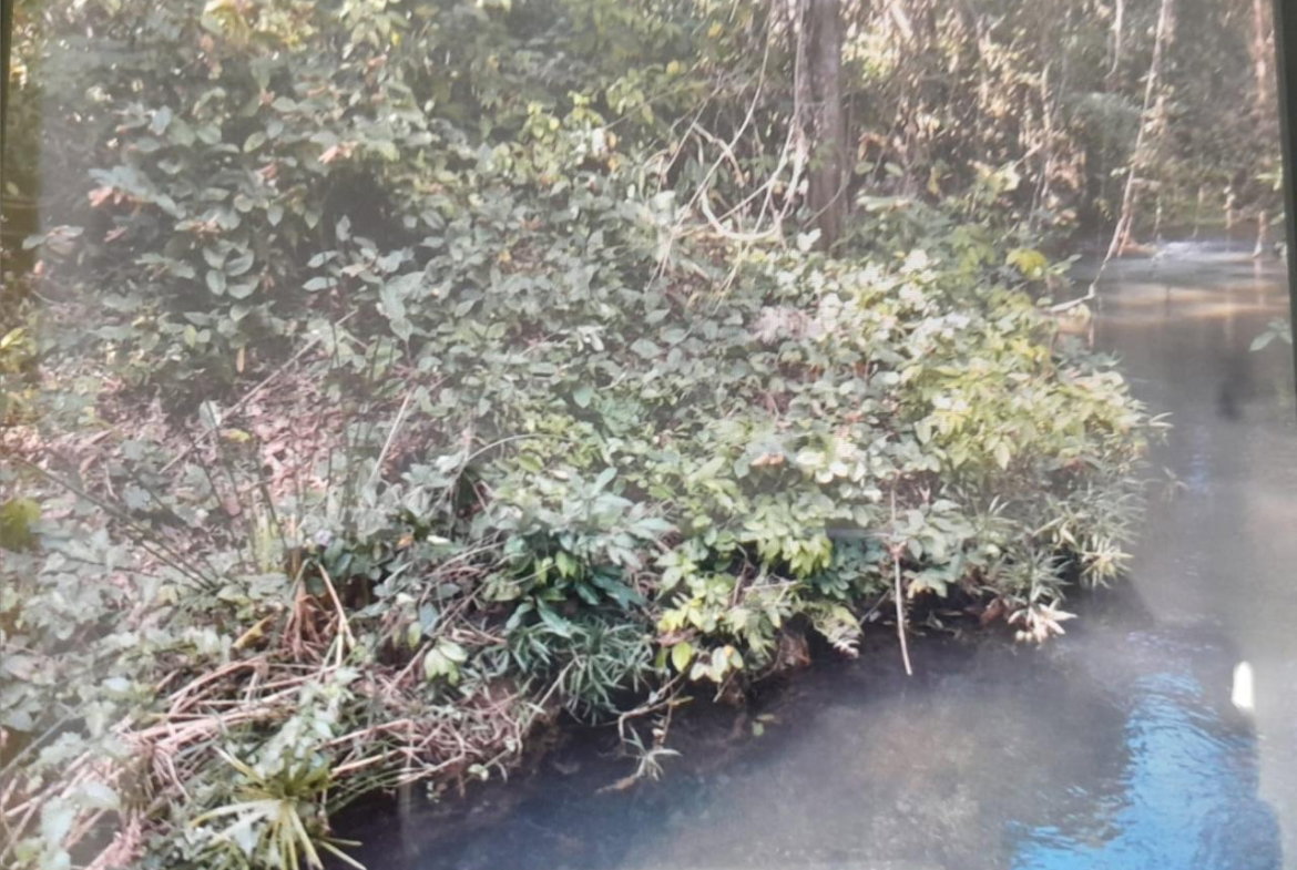 Nineteenth image of Spring Grove, Scotts Pass in Porus, Manchester, Jamaica - property is For Sale