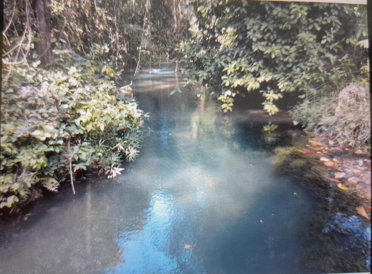 Twentieth image of Spring Grove, Scotts Pass in Porus, Manchester, Jamaica - property is For Sale