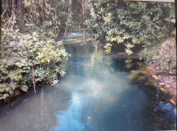 Twentieth image of Spring Grove, Scotts Pass in Porus, Manchester, Jamaica - property is For Sale