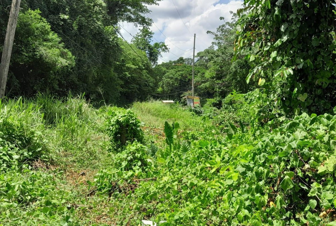 Third image of Spring Grove, Scotts Pass in Porus, Manchester, Jamaica - property is For Sale