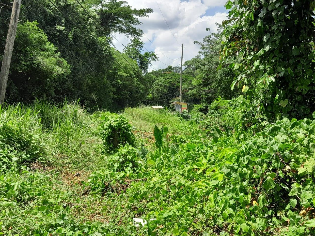 Third image of Spring Grove, Scotts Pass in Porus, Manchester, Jamaica - property is For Sale