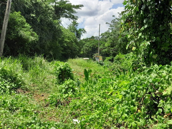 Third image of Spring Grove, Scotts Pass in Porus, Manchester, Jamaica - property is For Sale