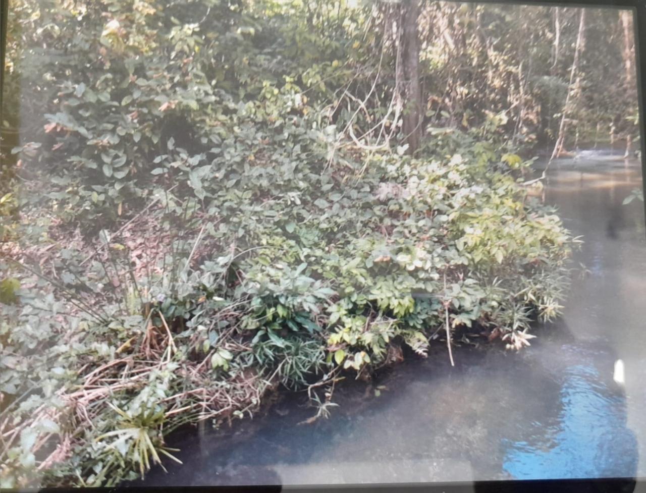 Twenty-First image of Spring Grove, Scotts Pass in Porus, Manchester, Jamaica - property is For Sale