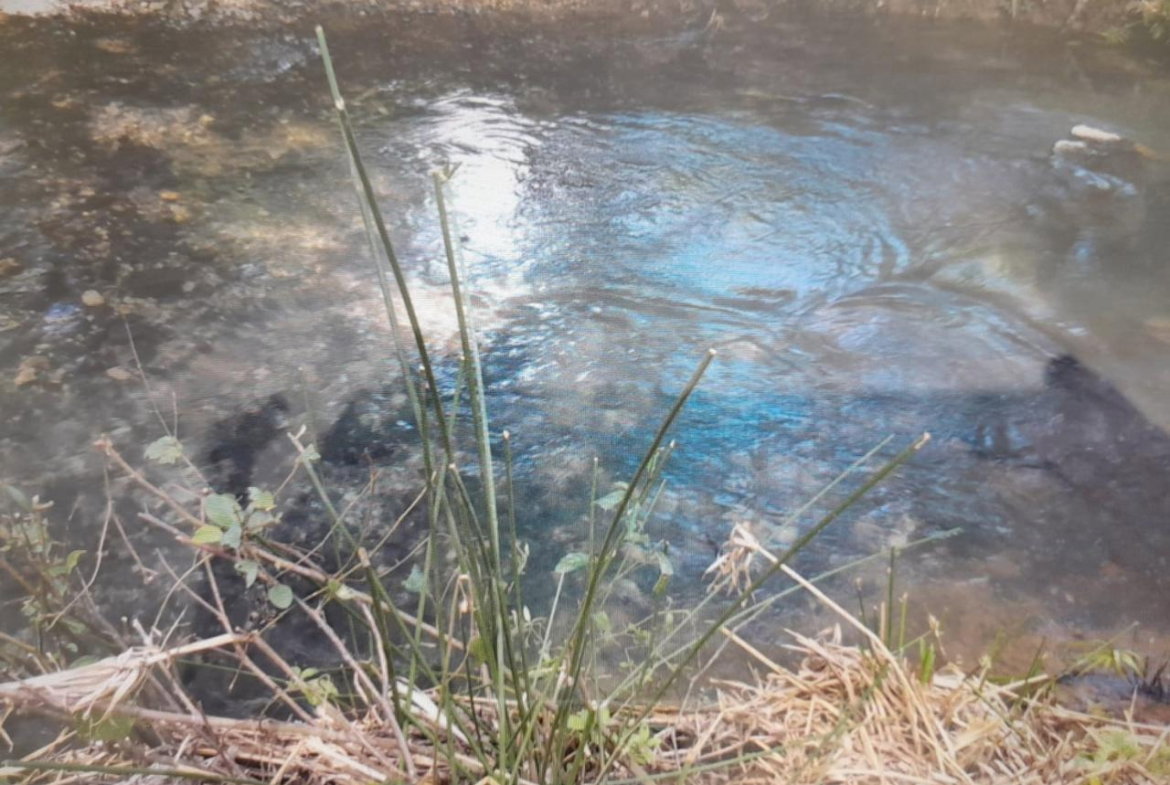 Twenty-Third image of Spring Grove, Scotts Pass in Porus, Manchester, Jamaica - property is For Sale