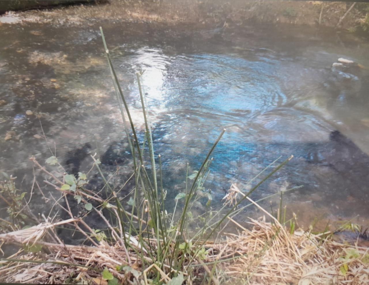 Twenty-Third image of Spring Grove, Scotts Pass in Porus, Manchester, Jamaica - property is For Sale