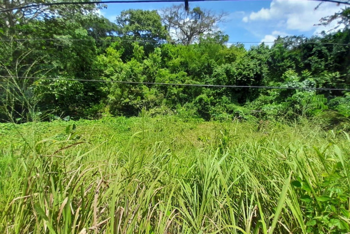 Fourth image of Spring Grove, Scotts Pass in Porus, Manchester, Jamaica - property is For Sale