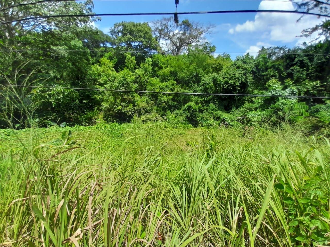 Fourth image of Spring Grove, Scotts Pass in Porus, Manchester, Jamaica - property is For Sale