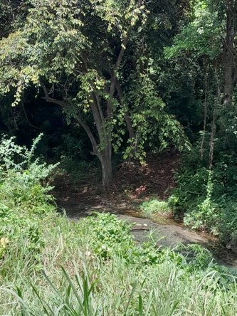 Fifth image of Spring Grove, Scotts Pass in Porus, Manchester, Jamaica - property is For Sale