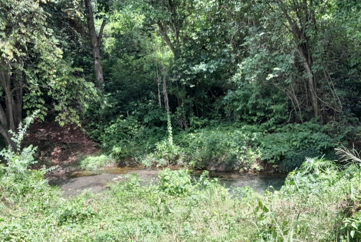 Sixth image of Spring Grove, Scotts Pass in Porus, Manchester, Jamaica - property is For Sale