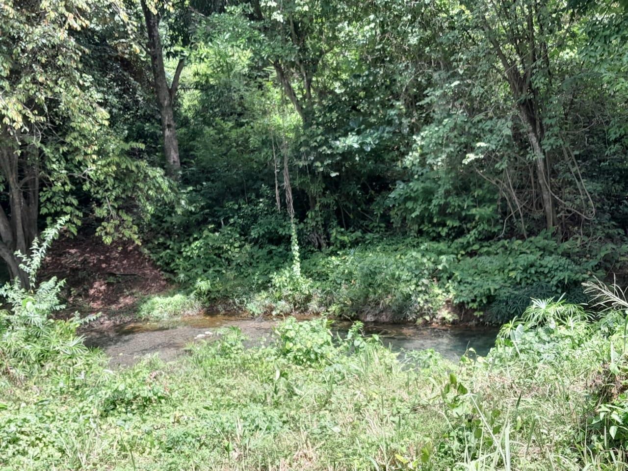 Sixth image of Spring Grove, Scotts Pass in Porus, Manchester, Jamaica - property is For Sale