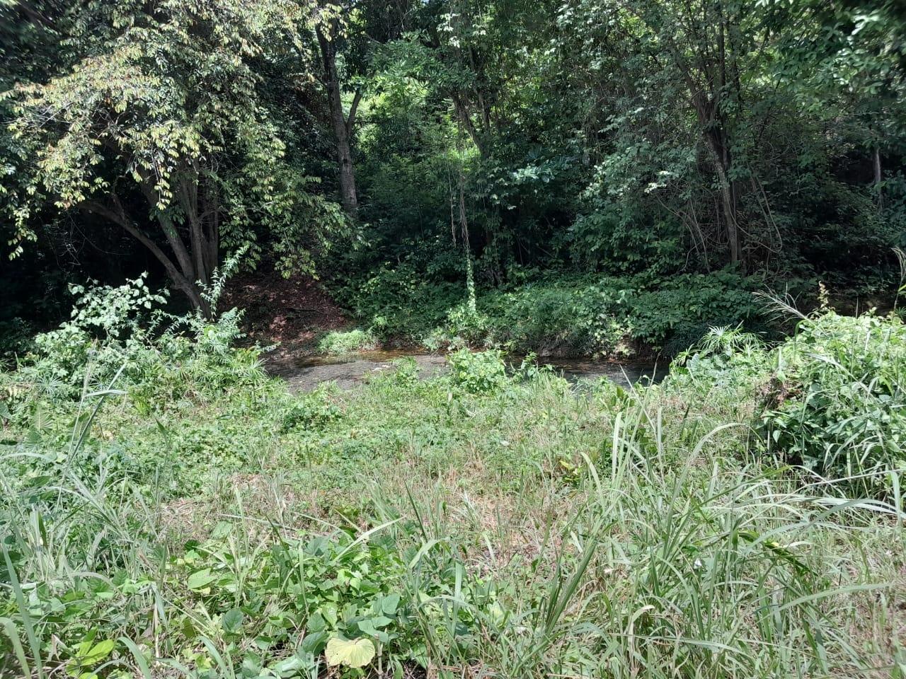 Seventh image of Spring Grove, Scotts Pass in Porus, Manchester, Jamaica - property is For Sale